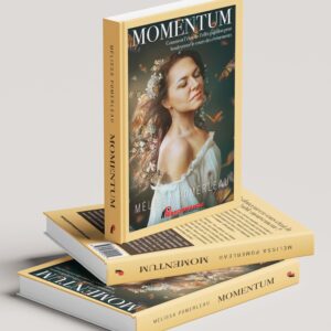 Momentum par Mélissa Pomerleau
